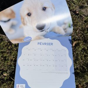 Calendrier des Chiens Guides 2027 ✨