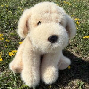 Grand Golden 🐶