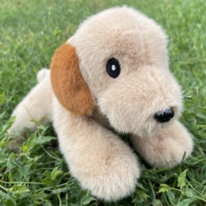 🐕 Labrador couché 🐶✨