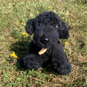 🐕 Petit labrador noir 🐶✨