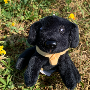 🗝️ Porte-clés labrador noir 🐶✨