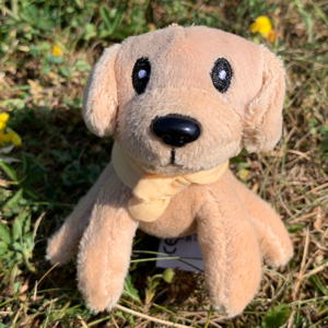 🗝️ Porte-clés labrador sable 🐶✨