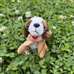 🗝️ Porte-clés saint-bernard 🐶✨