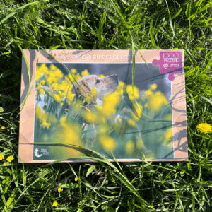 🧩 Puzzle 1 000 pièces 🐶