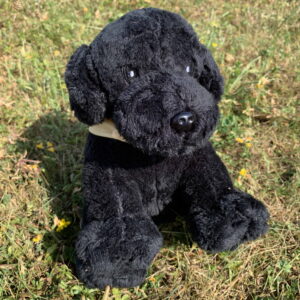 Grand labrador noir 🧸
