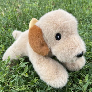 🐕 Labrador couché 🐶✨