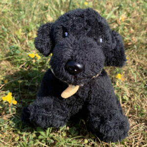 🐕 Petit labrador noir 🐶✨