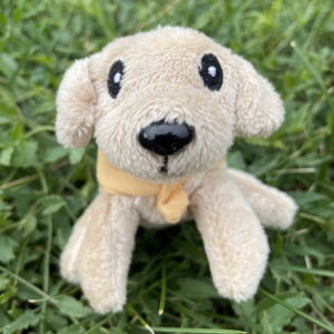🗝️ Porte-clés labrador sable 🐶✨