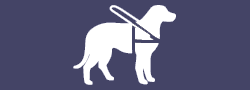 amis-maitres-de-chiens-guides-aveugles