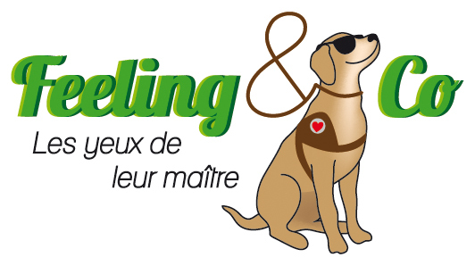 feeling&co_essais_logo_BAT2ai