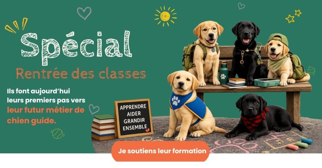 Pop up spéciale rentrée des classes 2026