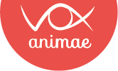 voix-animae